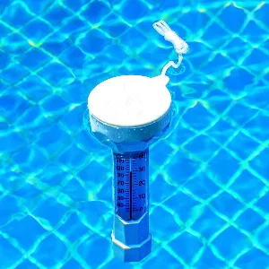 Pool Thermometer 29039