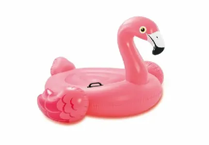 Flamingo Ride On 57558