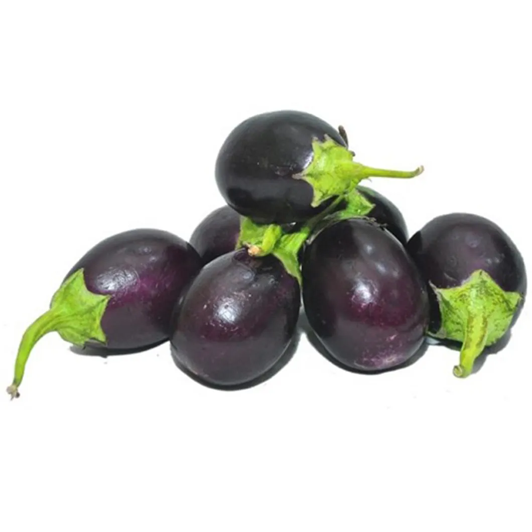 Eggplant baby uae