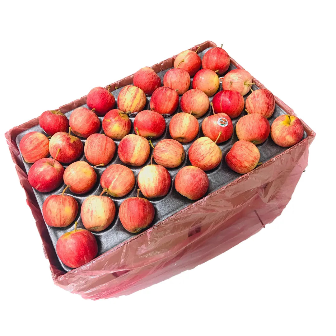 Apples royal gala red s_a 18KG