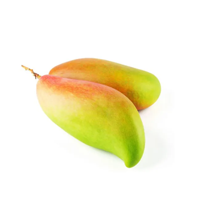 Mango Long Kenya