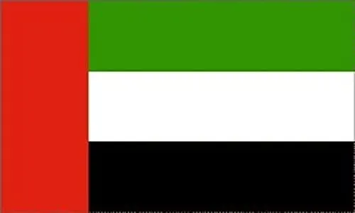 AKDC UAE FLAG (150X300 CM) - UAE NATIONAL DAY LOGO FLAG - STITCHED IN STRONG POLYESTER MATERIAL - LONG DURABILITY - INDOOR & OUTDOOR USE (150X300CM)