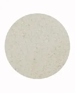 X/Z Large Cellulose Sponge (10Cm X 1Cm) - XLZ00XZ097 (JBIB00A48)