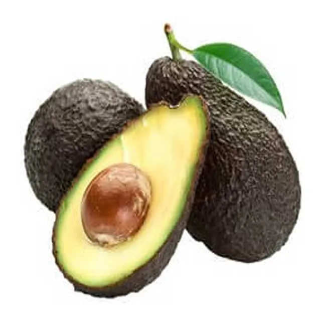 Organic Hass Avocadoes - Spain - 4kgs.