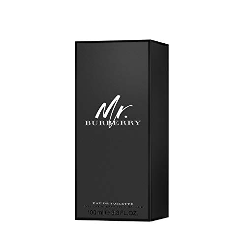 Burberry Mr Burberry EDT 100 ml