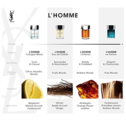 YVES SAINT LAURENT L'HOMME LE PARFUM (M) EDP 100 ml FR