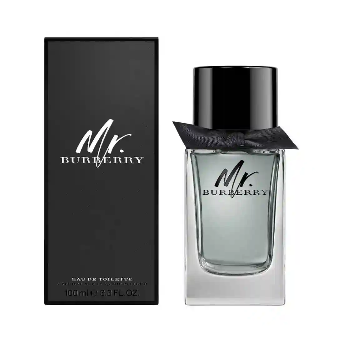 BURBERRY MR BURBERRY EDT 100ML