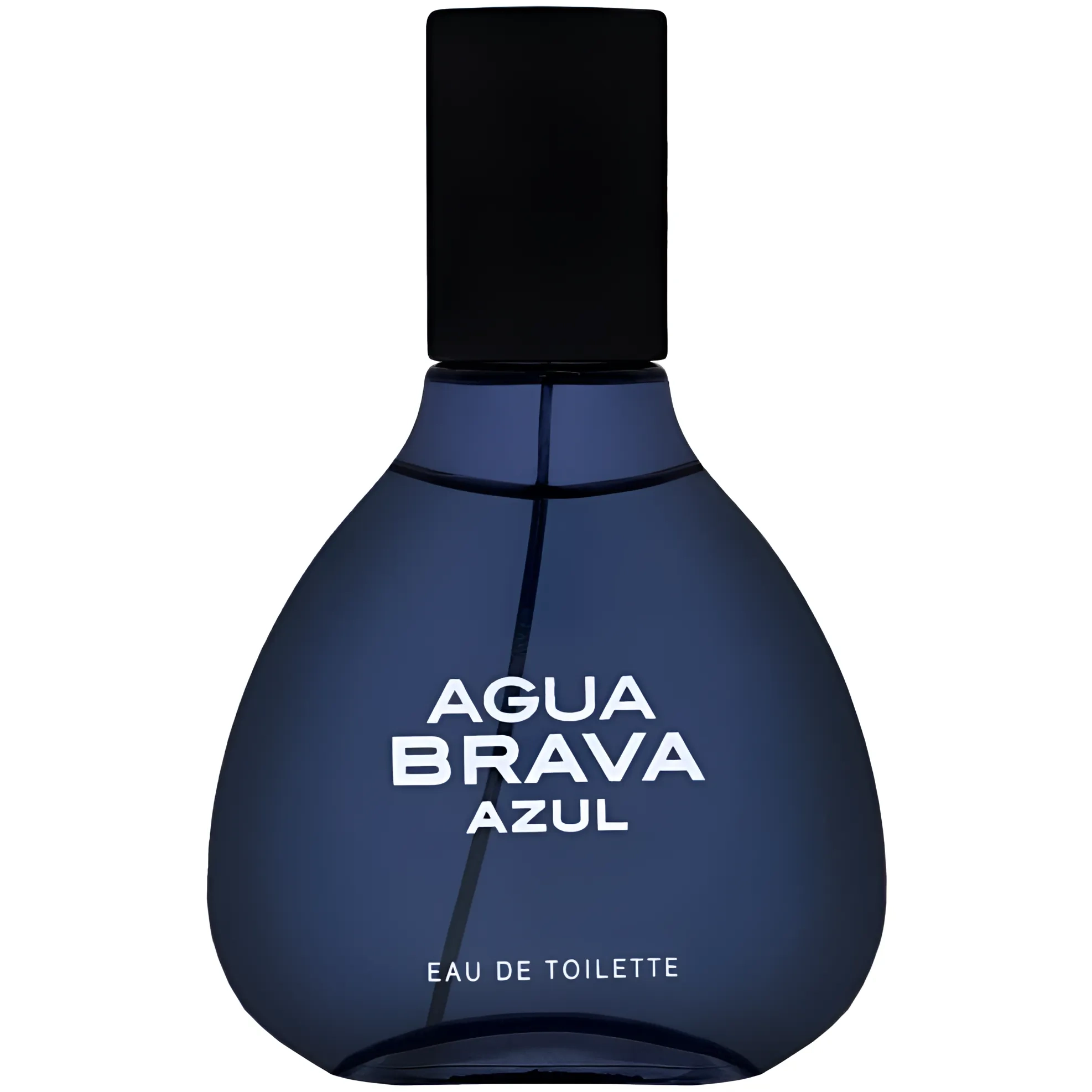 Antonio Puig Agua Brava Azul Eau De Toilette Spray 100Ml/3.4Oz