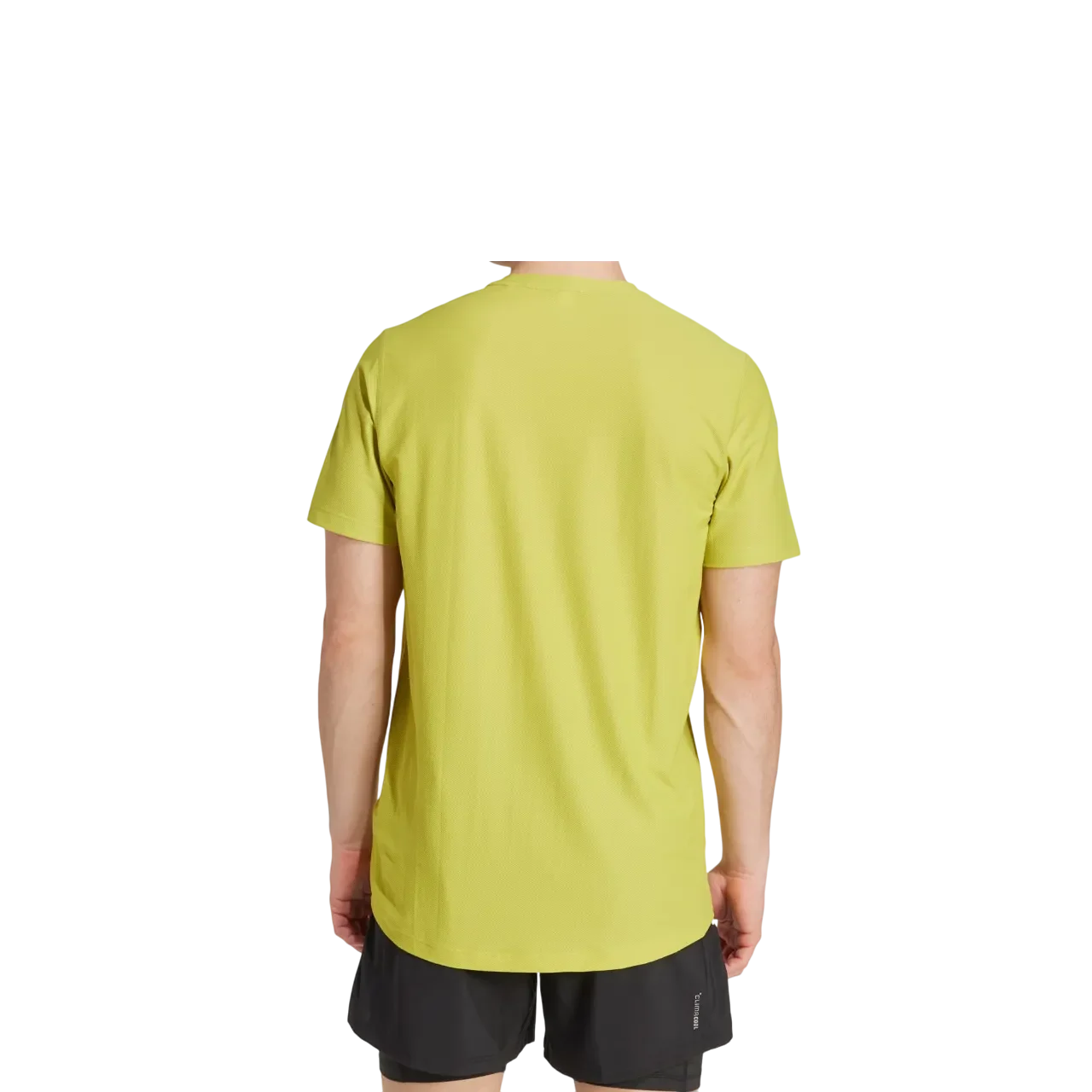 Adidas Men Own The Run Tee Preloved Lime Jx2214 Size Xs