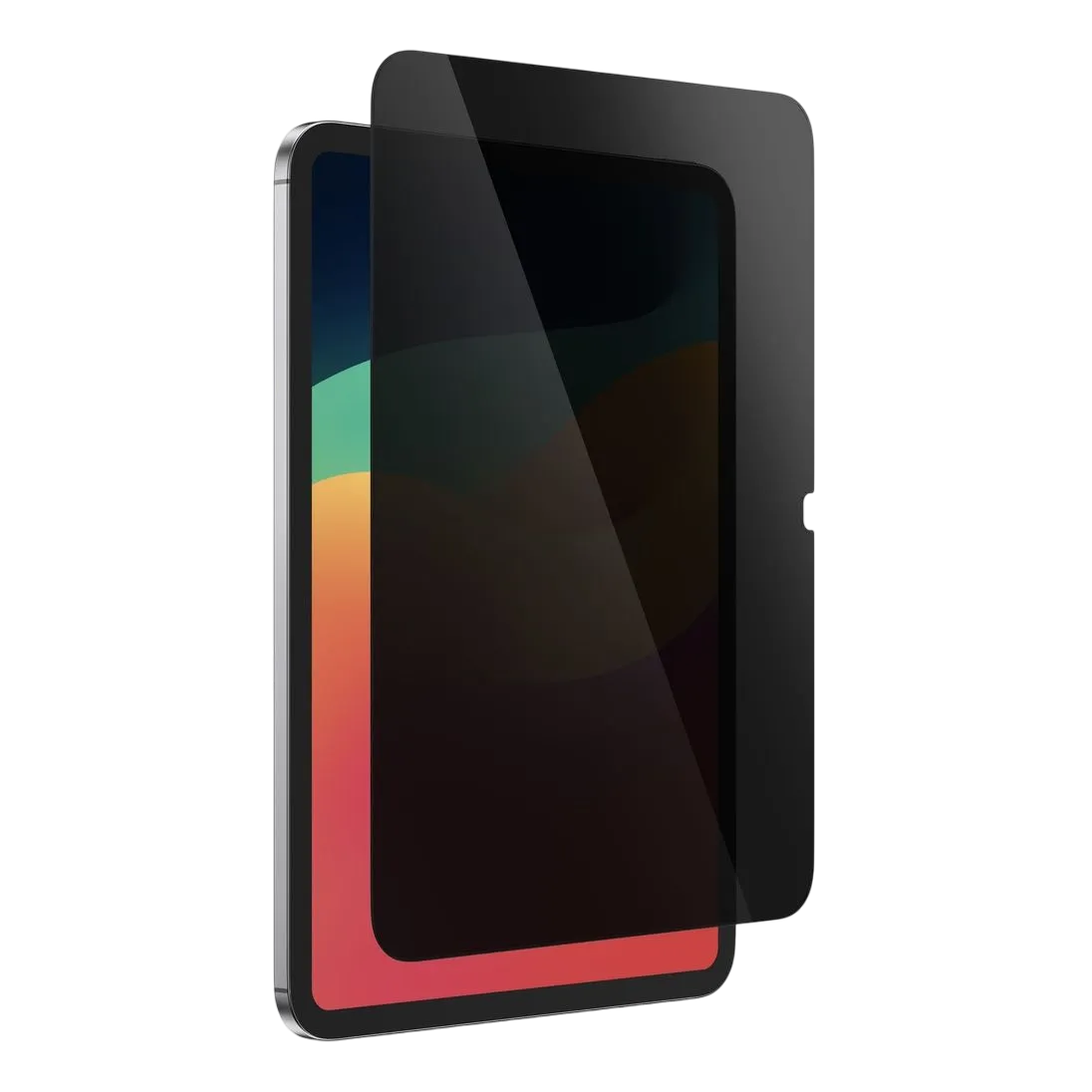 Amazingthing Ipad Pro 11 M4 Radix Glass Protector Privacy Ipadpro112024prcgla