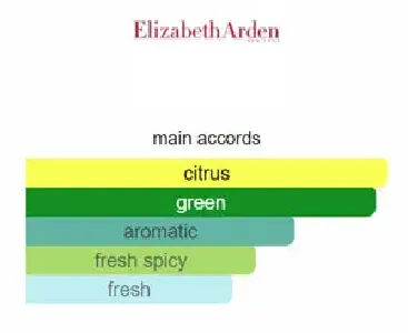 ELIZABETH ARDEN GREEN TEA EAU PERFUME 100ML