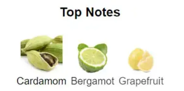 DAVID BECKHAM INTIMATELY (M) EDT 75ML