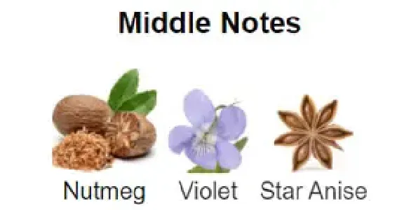 DAVID BECKHAM INTIMATELY (M) EDT 75ML