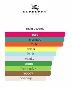 BURBERRY BODY TENDER (W) EDT 60ML