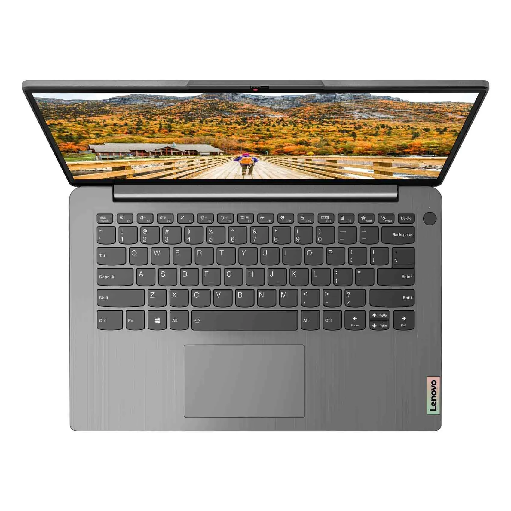 Lenovo Ideapad 3 Laptop With 14-inch Display Celeron N4020 Processor 4GB Ram 128GB Ssd Intel Integrated Uhd Graphics 600 Platinum Grey
