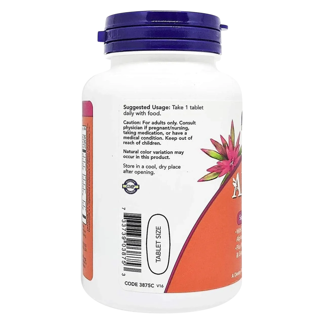 Now Adam Men's Multiple Vitamin Supplement 60 Tablets