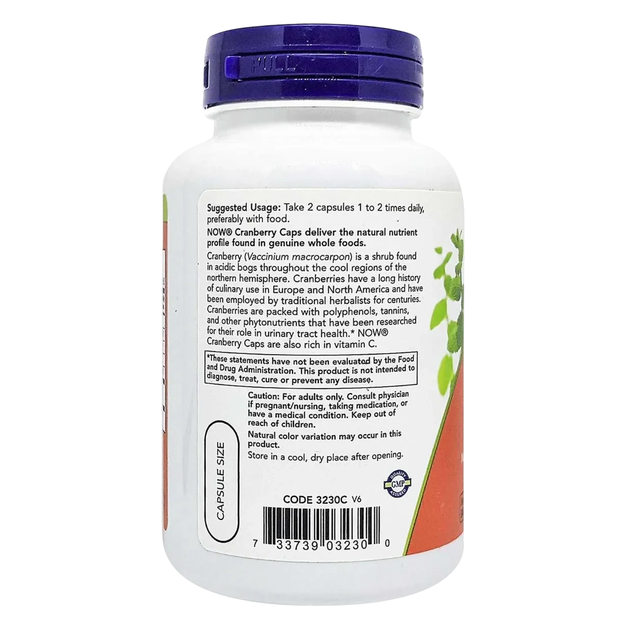 Now Cranberry 700mg Dietary Supplement Vegetarian 100 Capsules