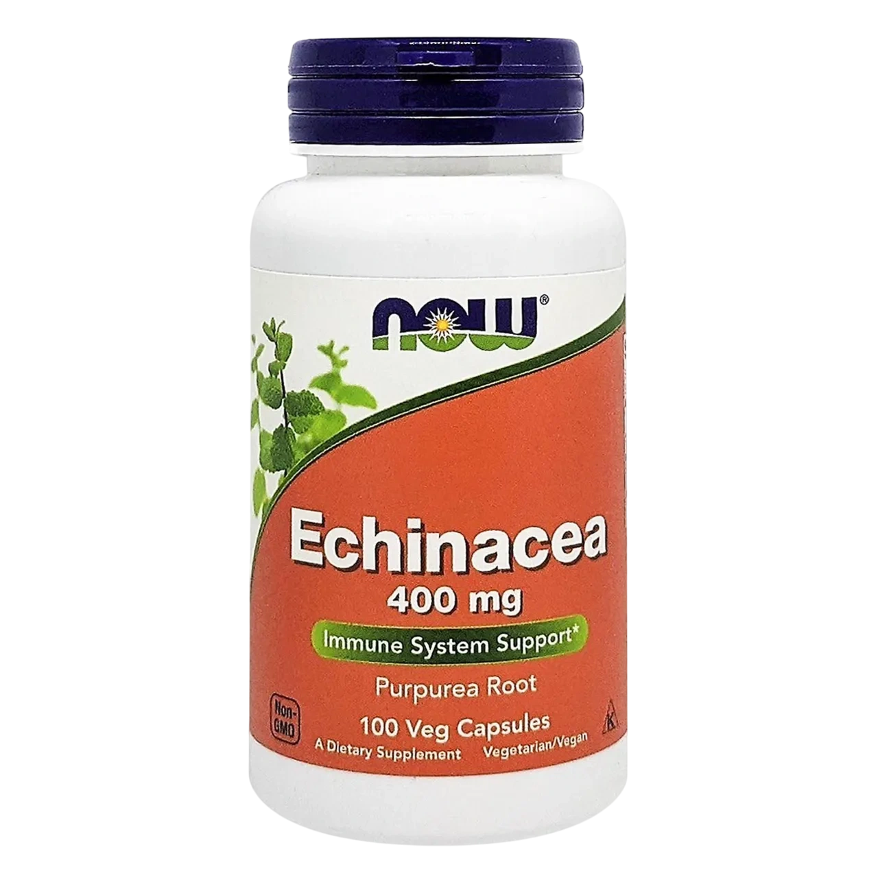 Now Echinacea 400mg Dietary Supplement Vegetarian 100 Capsules