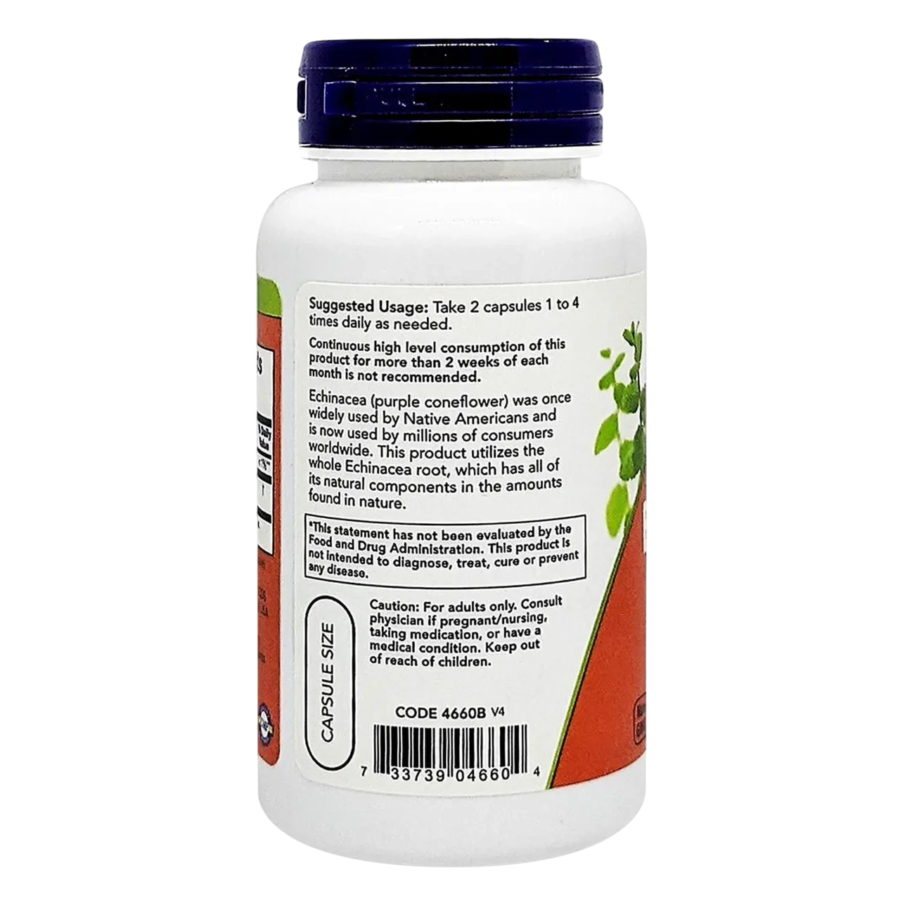 Now Echinacea 400mg Dietary Supplement Vegetarian 100 Capsules