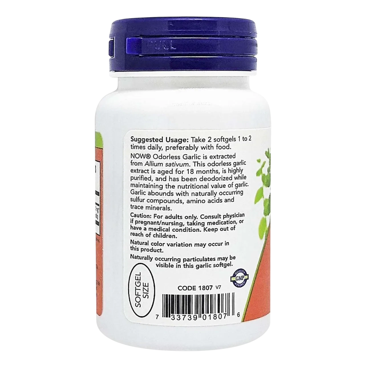 Now Odorless Garlic Dietary Supplement 100 Softgels