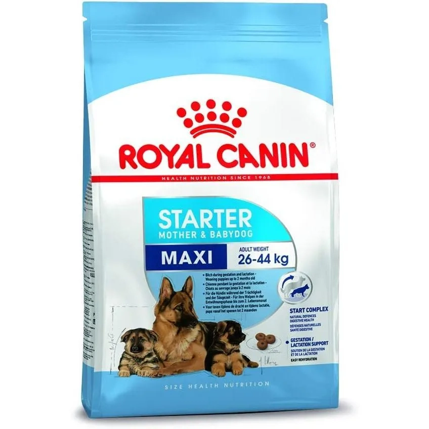 Royal Canin Shn Maxi Starter 4kg Size Health Nutrition Dog Dry Food