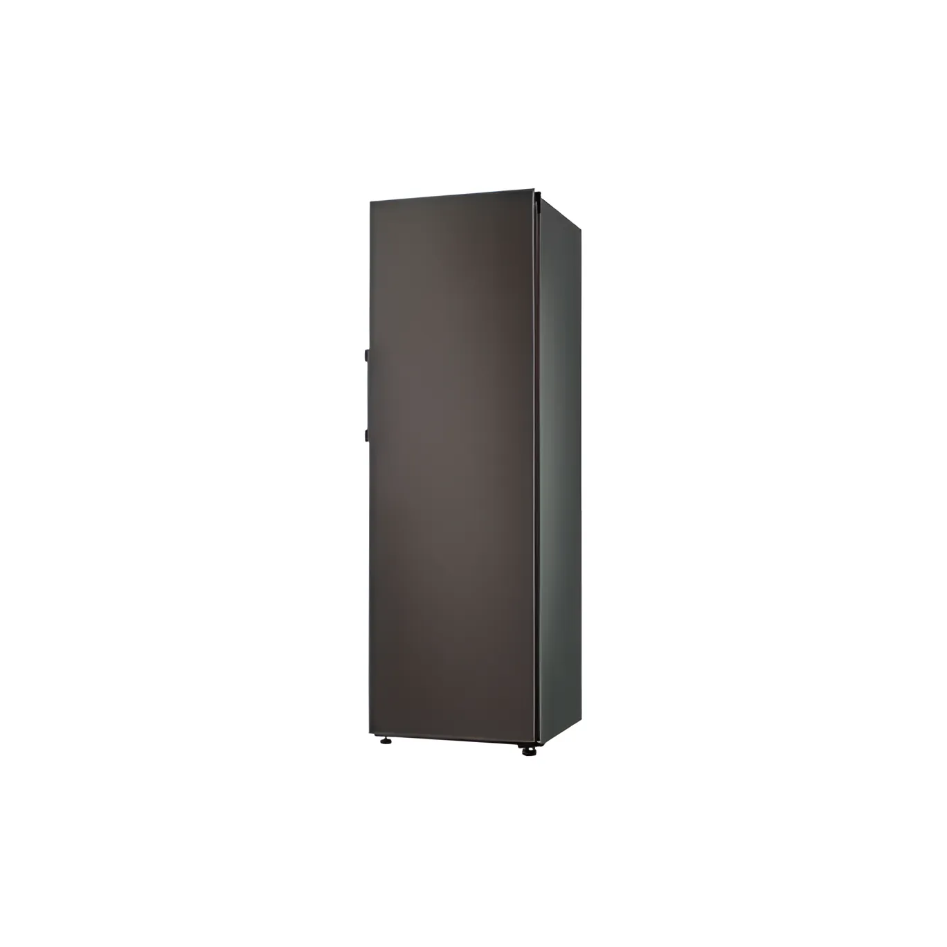 Samsung Bespoke Tall Fridge One Door - Rr39T740505/Sg