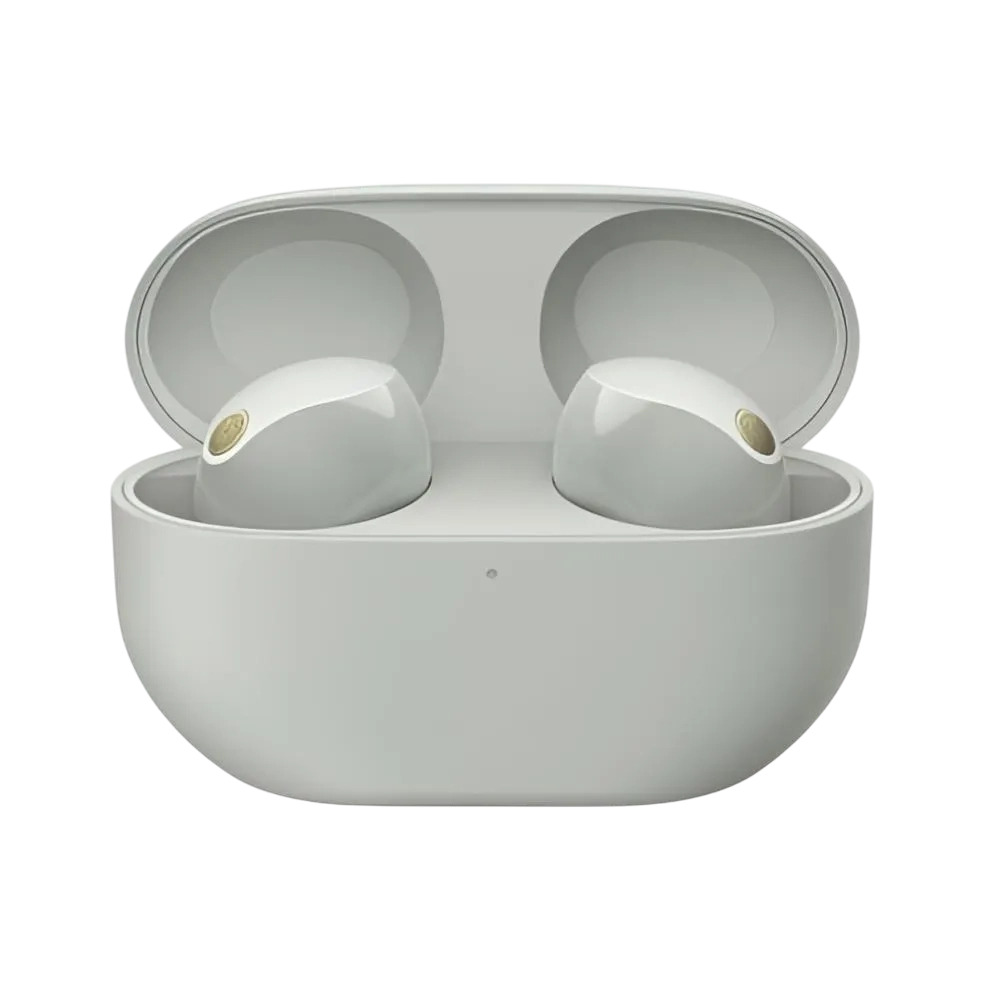 Sony True Wireless Noise Cancelling Earbuds, Silver, Wf1000xm5/s