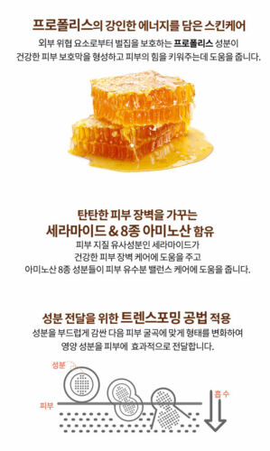 Etude House Real Propolis Cream 50Ml